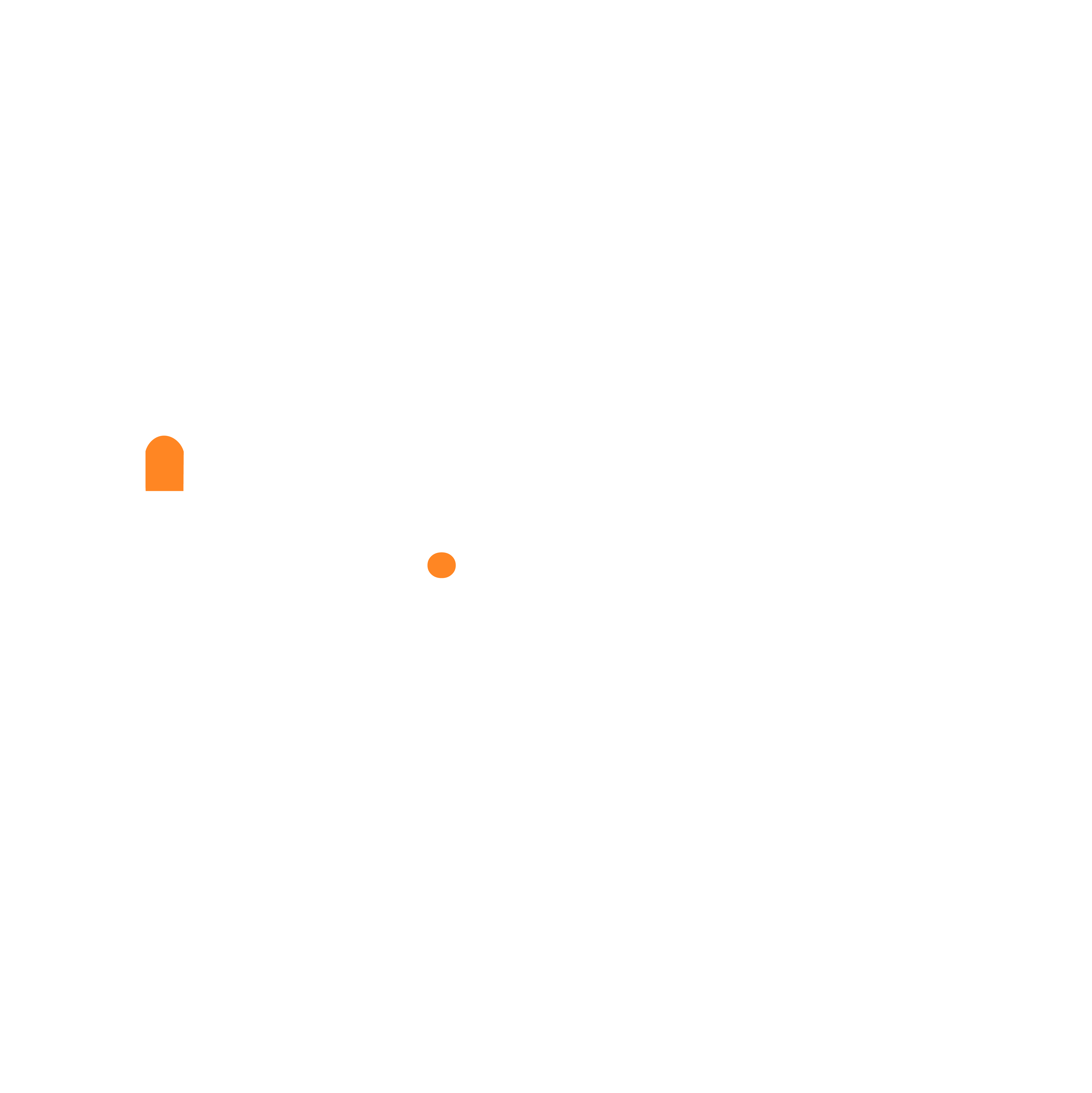 BrandVisioneer